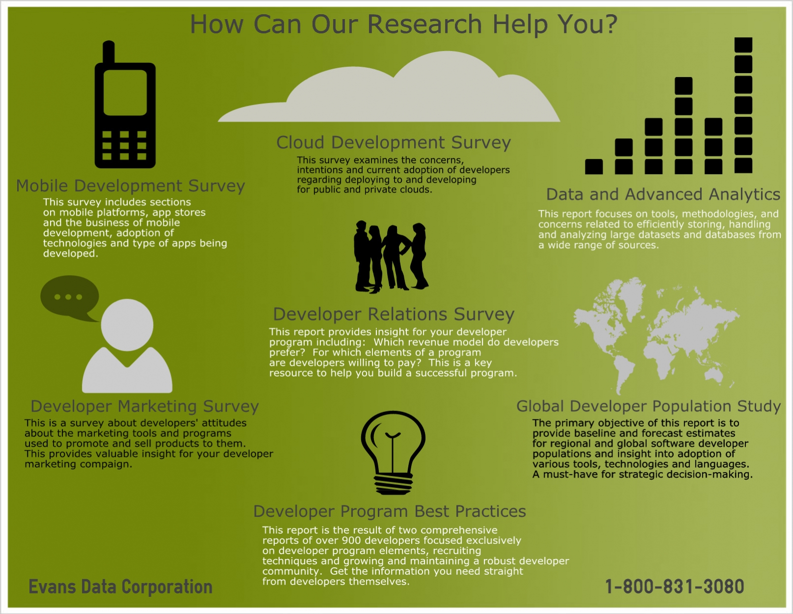 freedonia essay freedonia essay